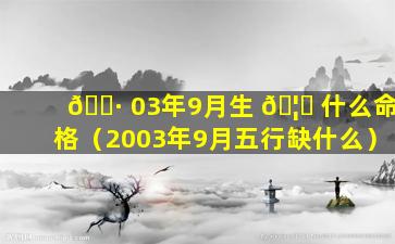 🌷 03年9月生 🦍 什么命格（2003年9月五行缺什么）